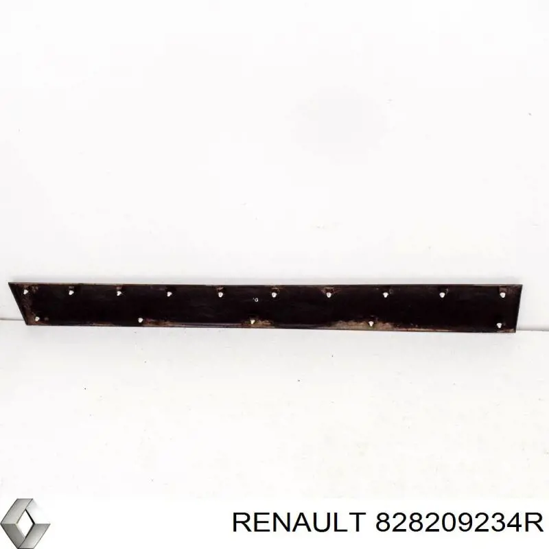 RN9541454 Prasco Moldura da porta lateral (deslizante)