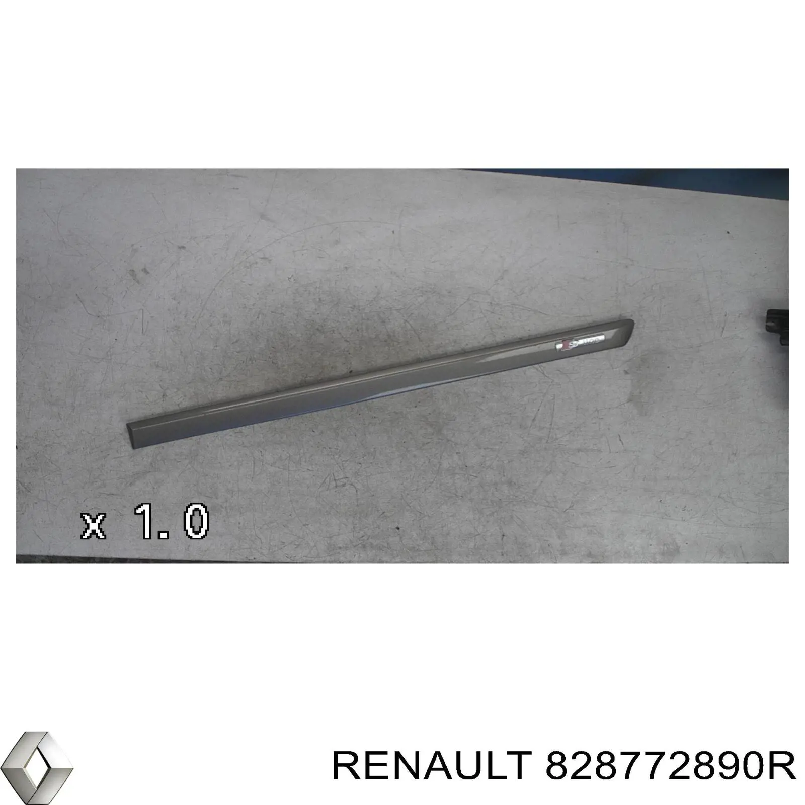 Compre 828772890R Renault (RVI) Moldura da porta traseira esquerda inferior