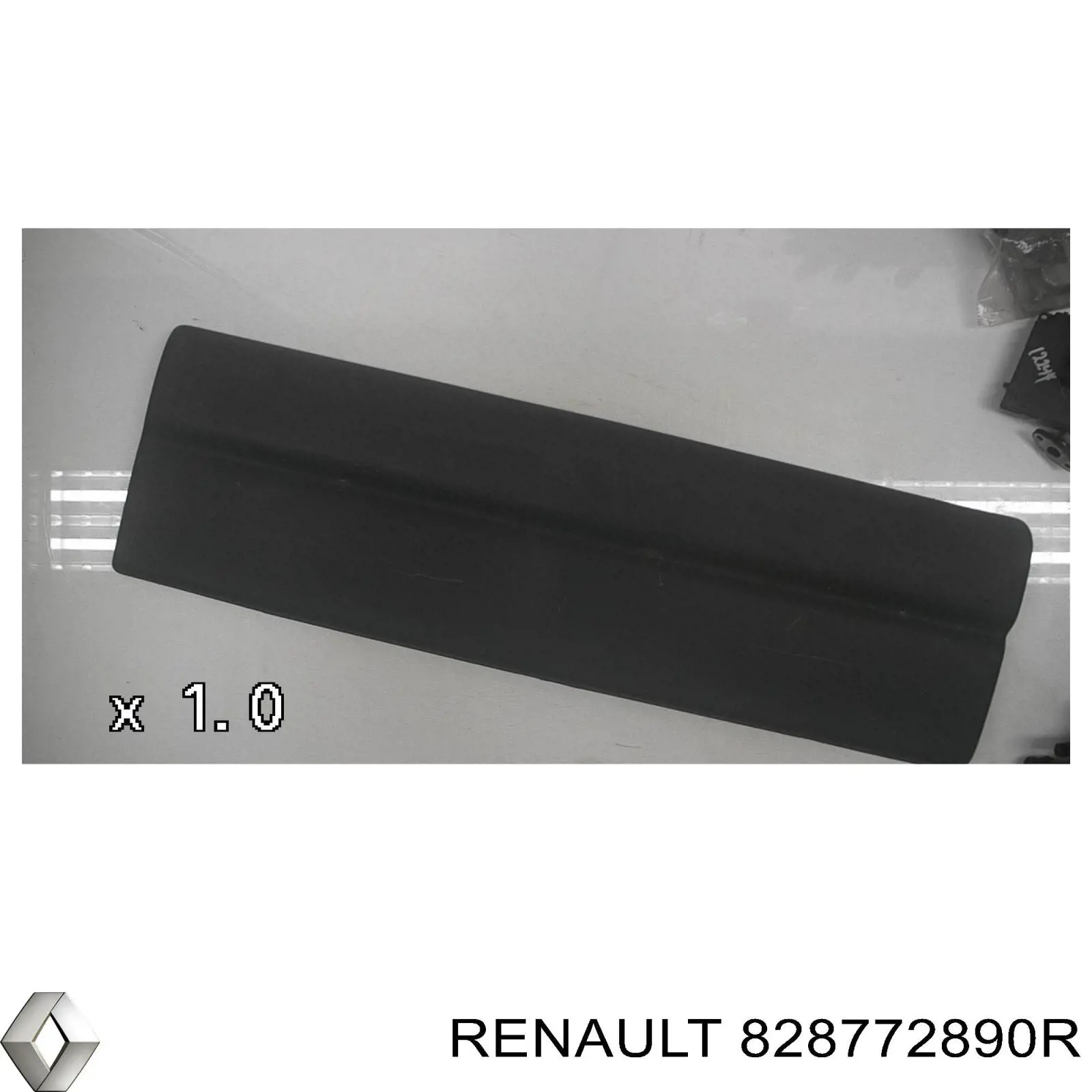 828772890R Renault (RVI) Moldura da porta traseira esquerda inferior