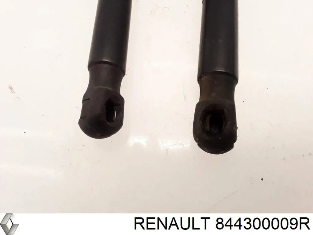 Amortecedor de tampa de porta-malas (de 3ª/5ª porta traseira) Renault (RVI) 844300009R preço, a partir de 16,93 USD