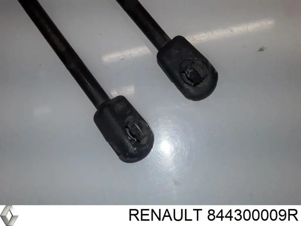 Compre 844300009R Renault (RVI) Amortecedor de tampa de porta-malas (de 3ª/5ª porta traseira)