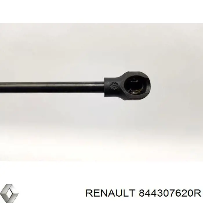 Amortecedor de tampa de porta-malas (de 3ª/5ª porta traseira) Renault (RVI) 844307620R preço, a partir de 22,06 USD