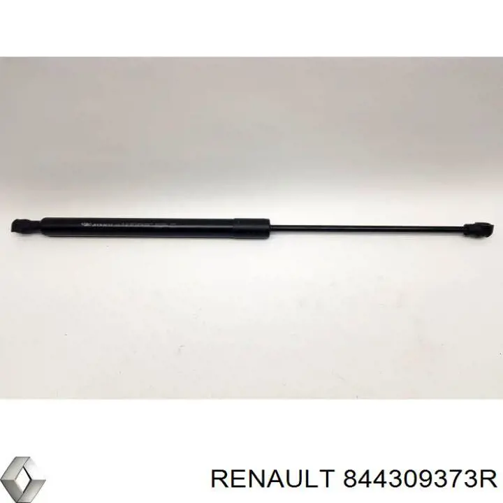 844309373R Renault (RVI) Amortecedor de tampa de porta-malas (de 3ª/5ª porta traseira)