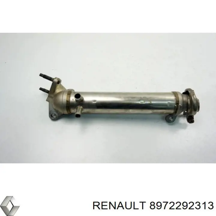 8972292313 Renault (RVI) 