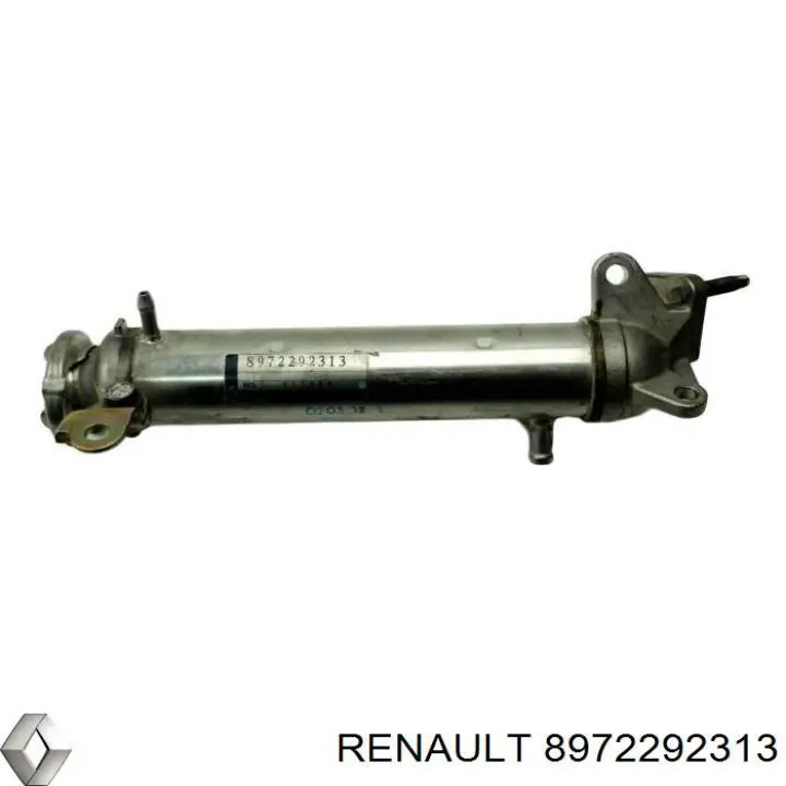  Renault (RVI) 8972292313