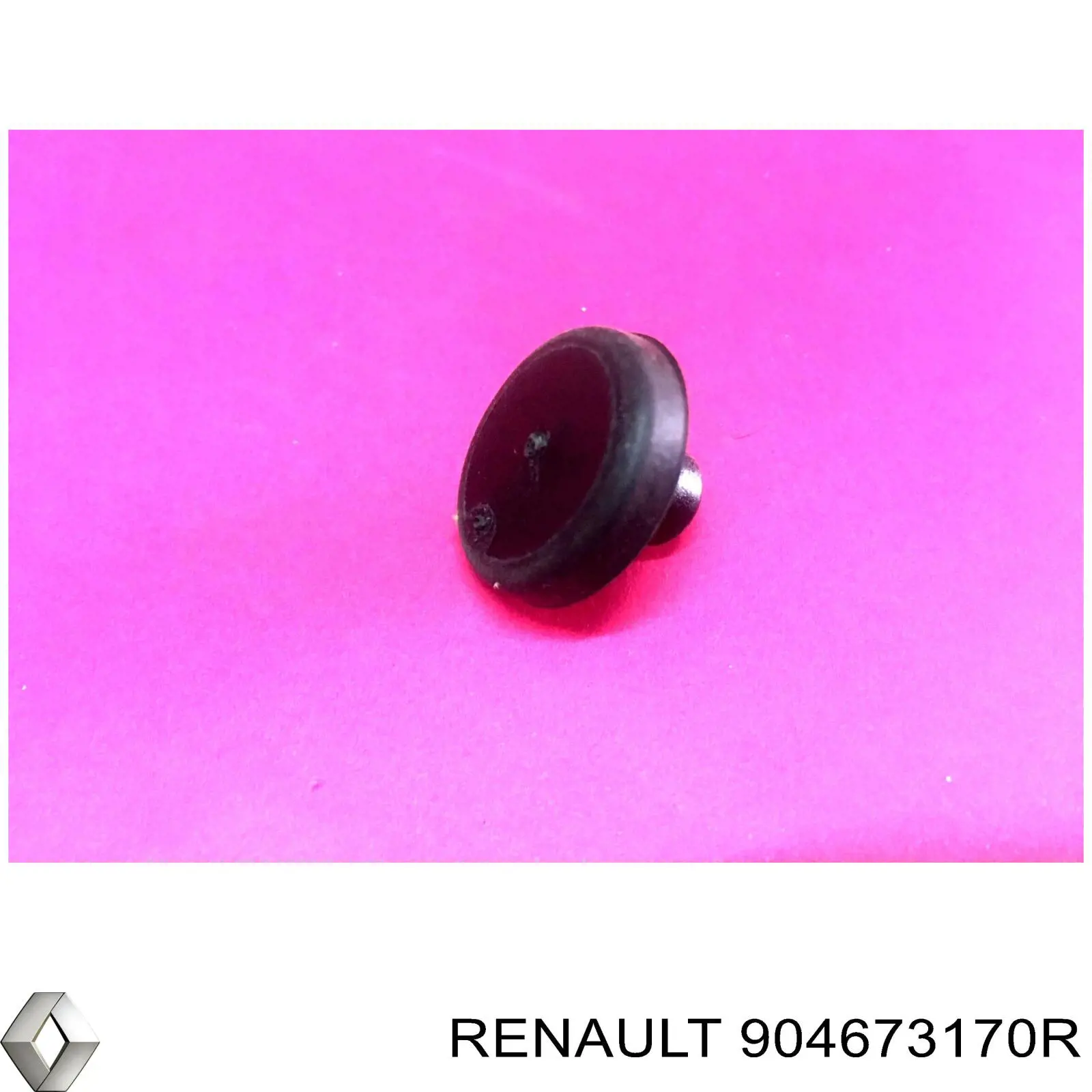  Renault (RVI) 904673170R preço, a partir de 19,61 USD