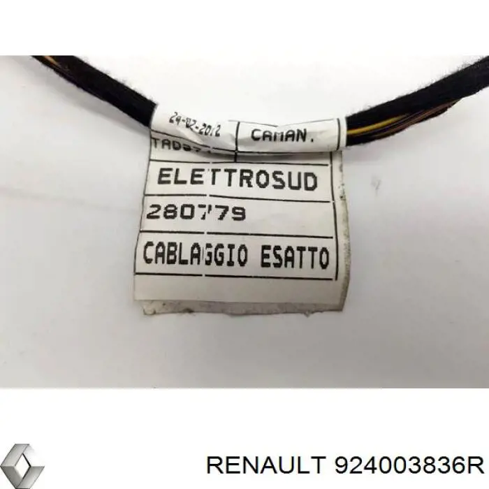 924003836R Renault (RVI) Mangueira (cano derivado) do sistema de esfriamento