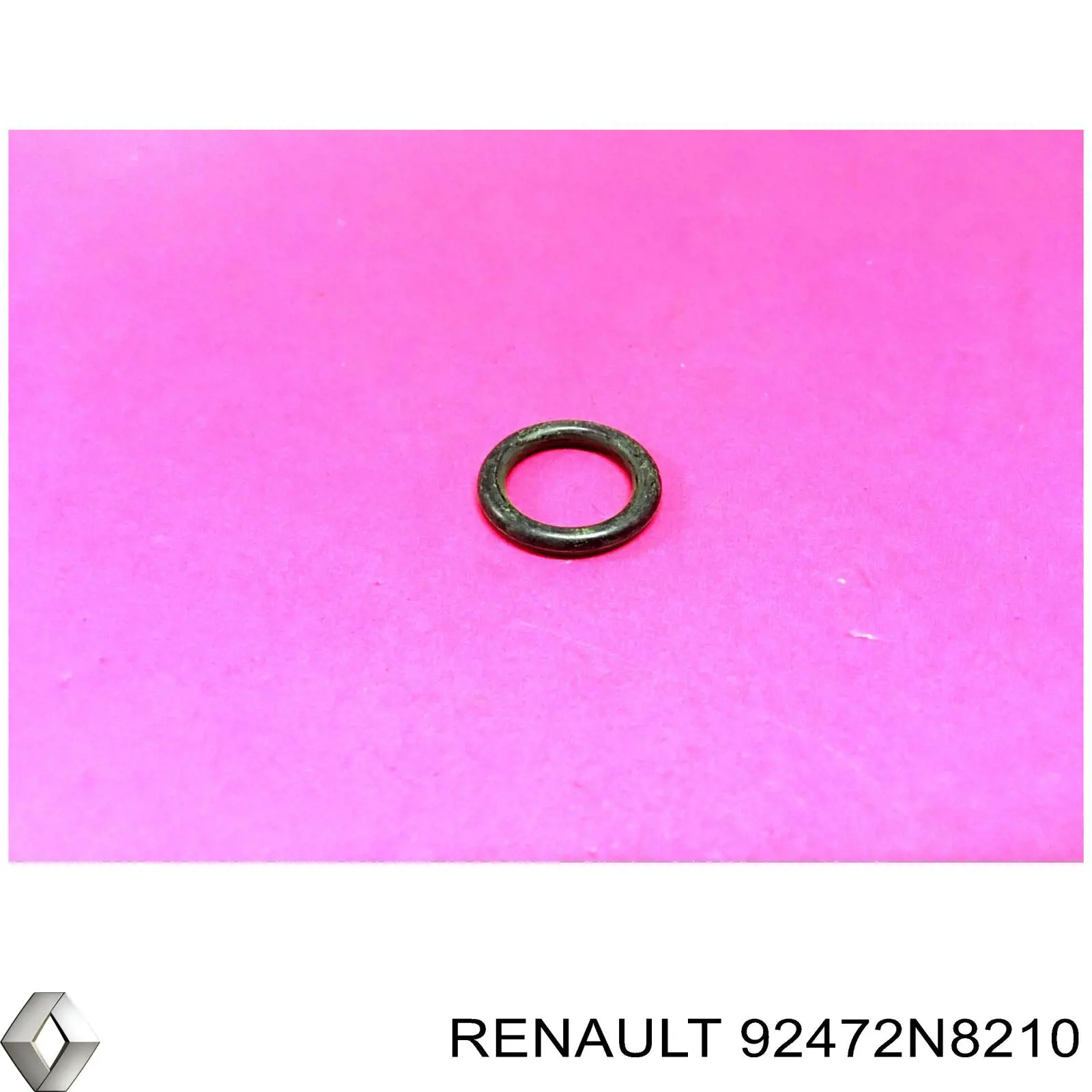 92472N8210 Renault (RVI) Vedante anular de mangueira do compressor de injeção