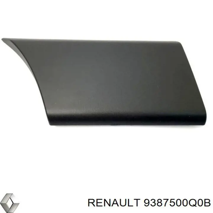 Moldura do pára-lama traseiro esquerdo 9387500Q0B Renault (RVI)