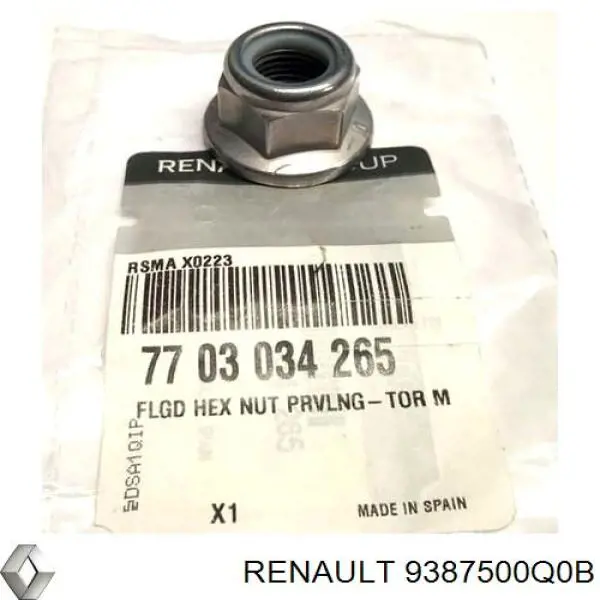 9387500Q0B Renault (RVI) Moldura do pára-lama traseiro esquerdo