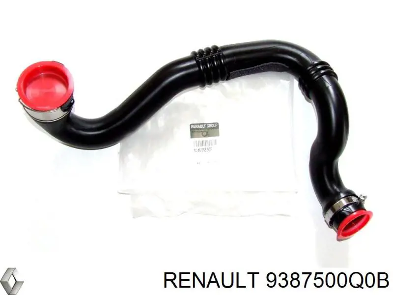 Moldura do pára-lama traseiro esquerdo 9387500Q0B Renault (RVI)