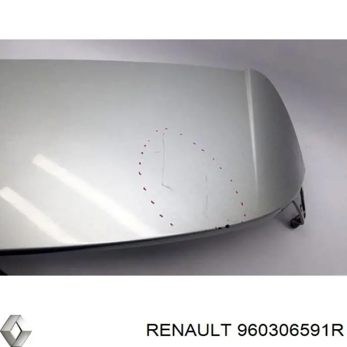 Compre 960306591R Renault (RVI) 