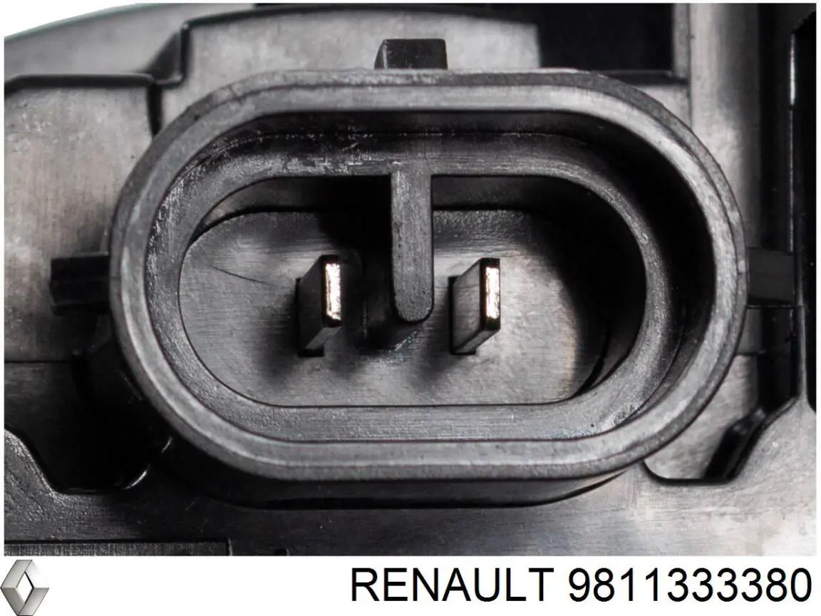 9811333380 Renault (RVI) Luzes de nevoeiro esquerdas/direitas