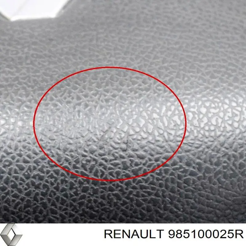 985100025R Renault (RVI) 
