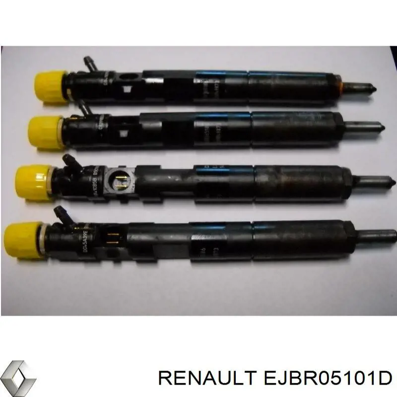 EJBR05101D Renault (RVI) Injetor de injeção de combustível