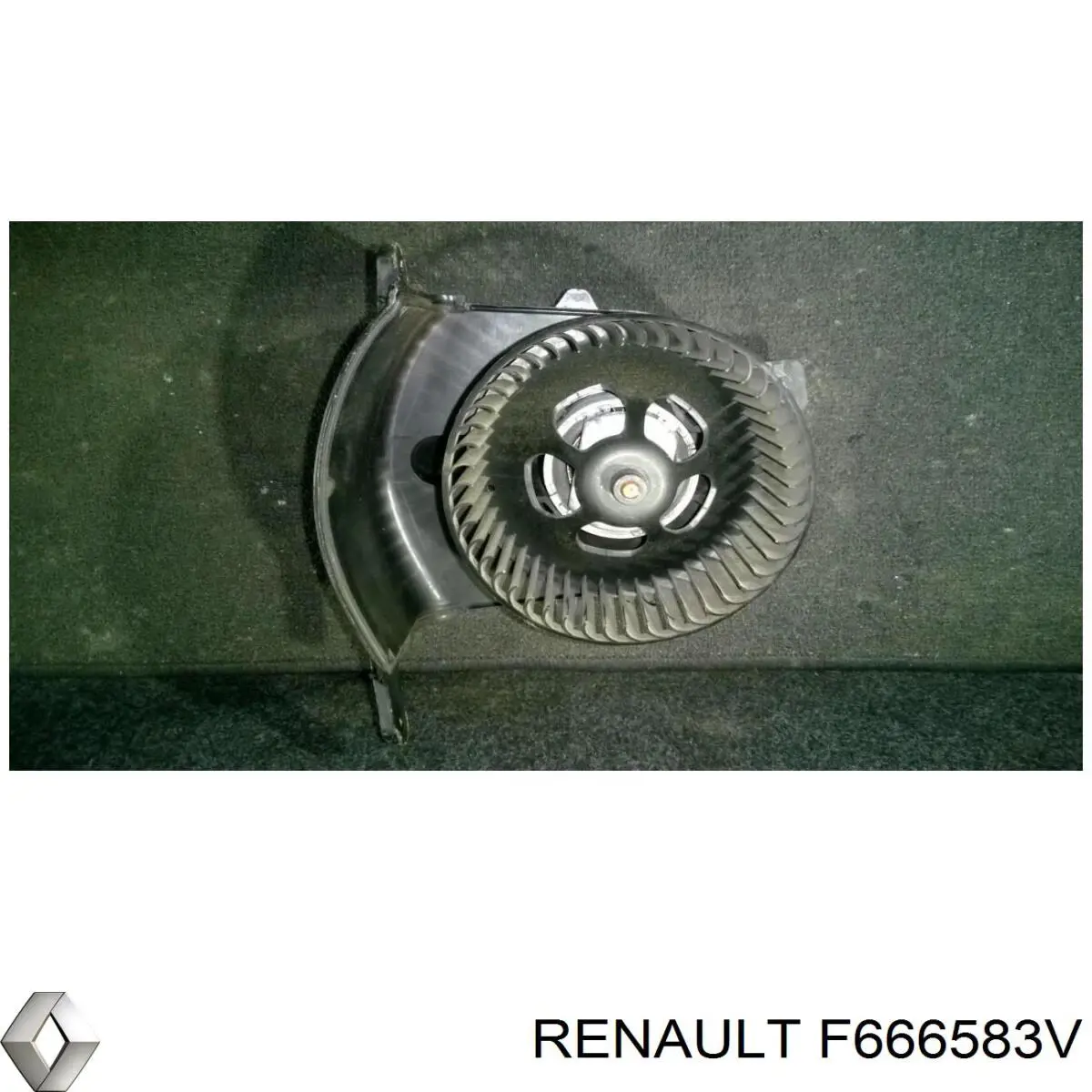 Compre F666583V Renault (RVI) 