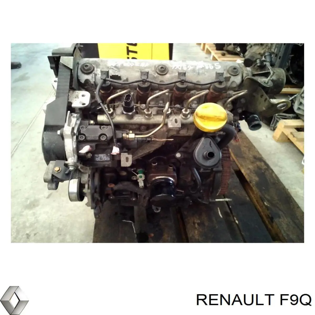 Motor montado F9Q Renault (RVI)