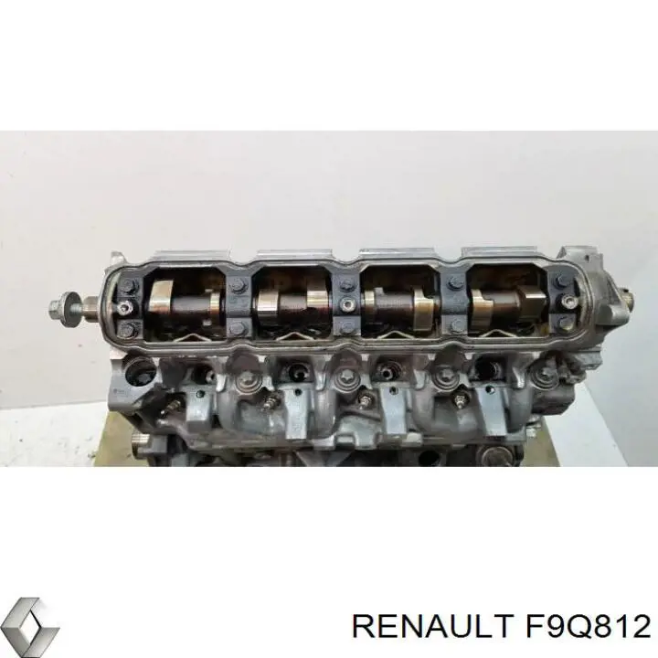 F9Q812 Renault (RVI) Motor montado