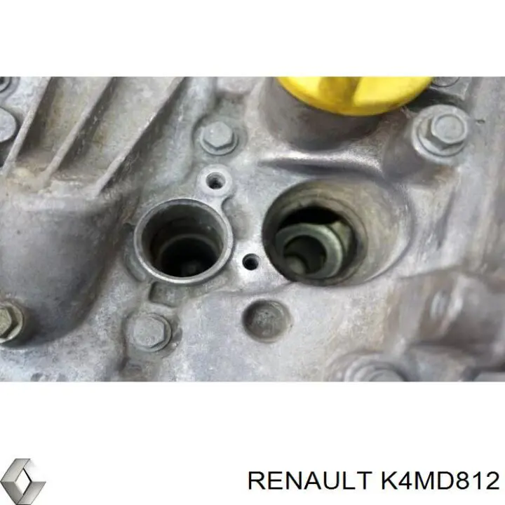 K4MD812 Renault (RVI) Motor montado