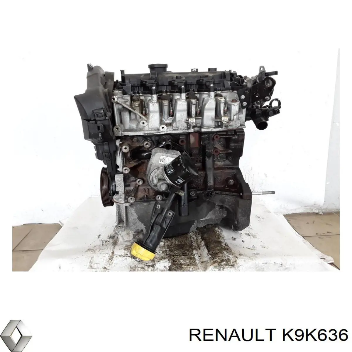 K9K636 Renault (RVI) Motor montado