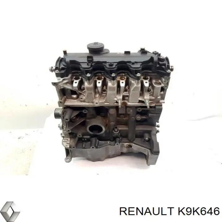 K9K646 Renault (RVI) Motor montado