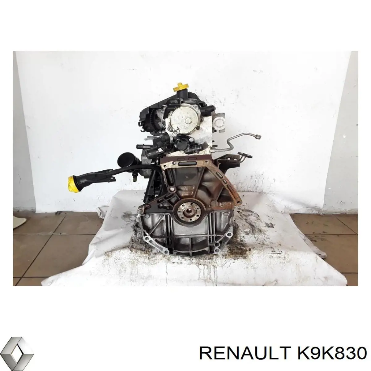 K9K830 Renault (RVI) Motor montado