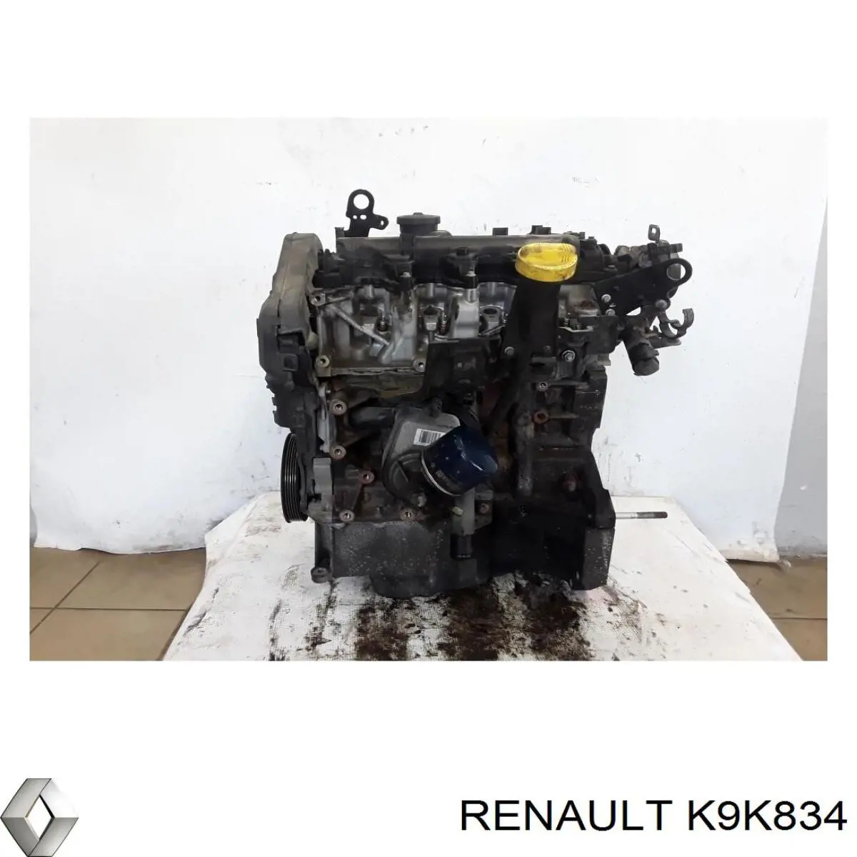 K9K834 Renault (RVI) Motor montado