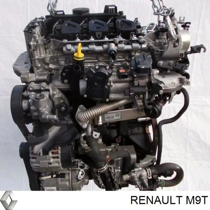 Compre M9T Renault (RVI) 