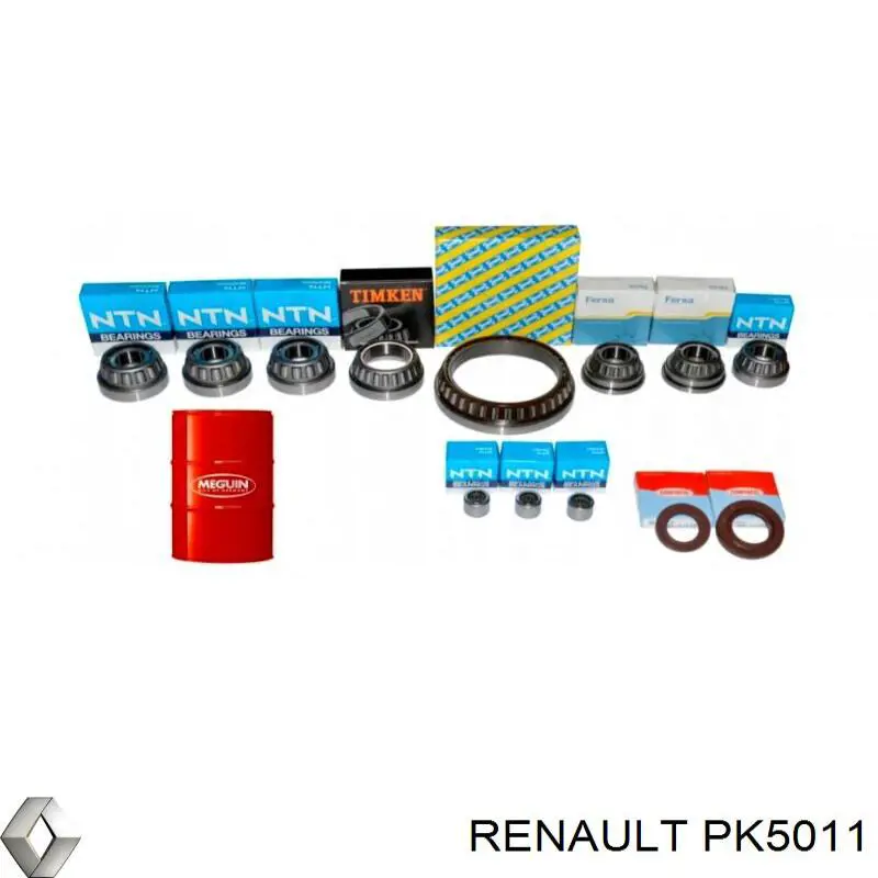 Compre PK5011 Renault (RVI) 