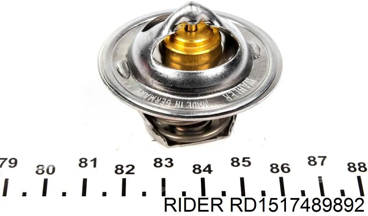 Termostato RD1517489892 Rider