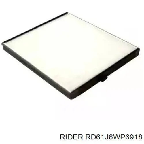 Filtro de salão RD61J6WP6918 Rider