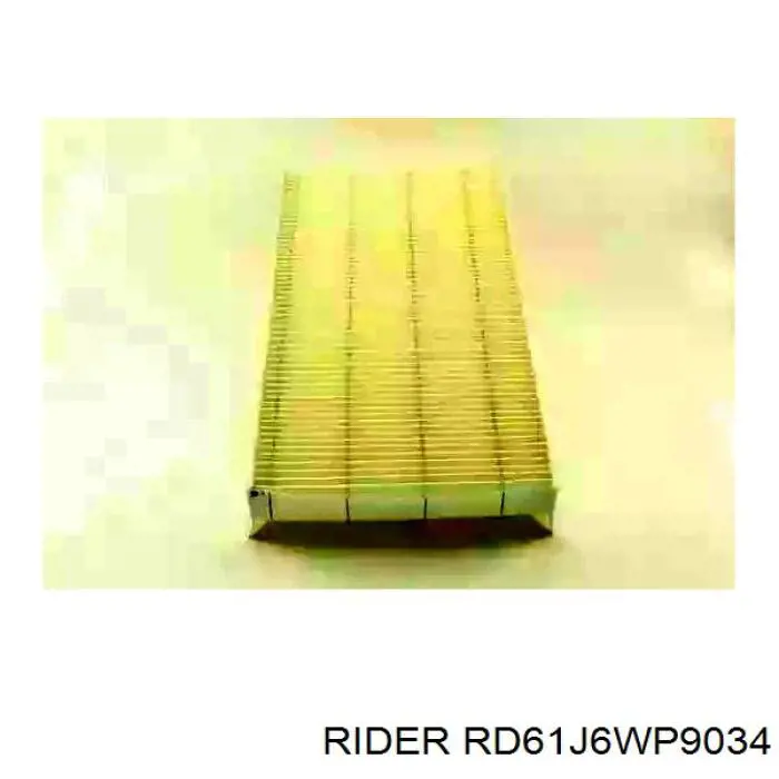 RD61J6WP9034 Rider Filtro de salão