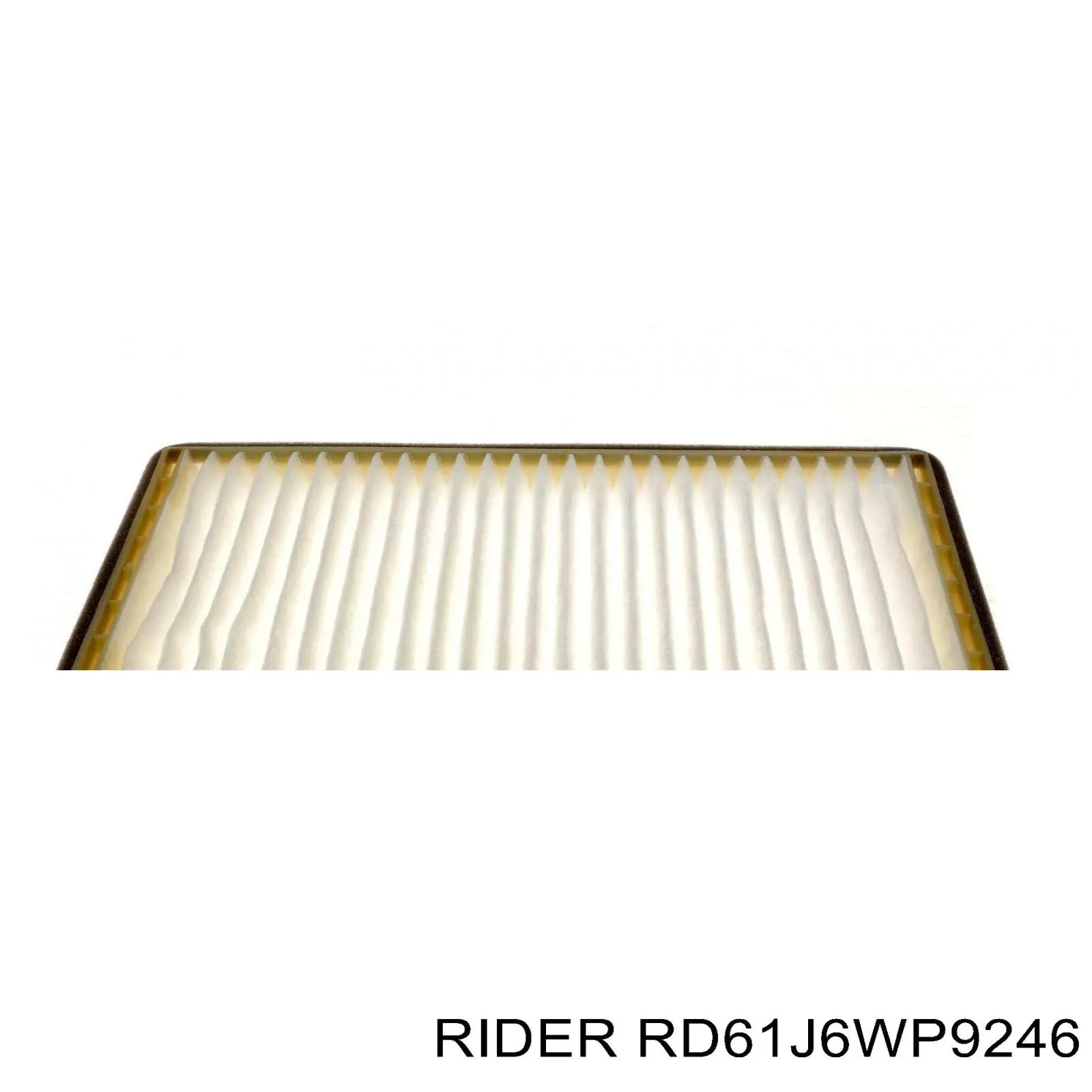 RD61J6WP9246 Rider Filtro de salão