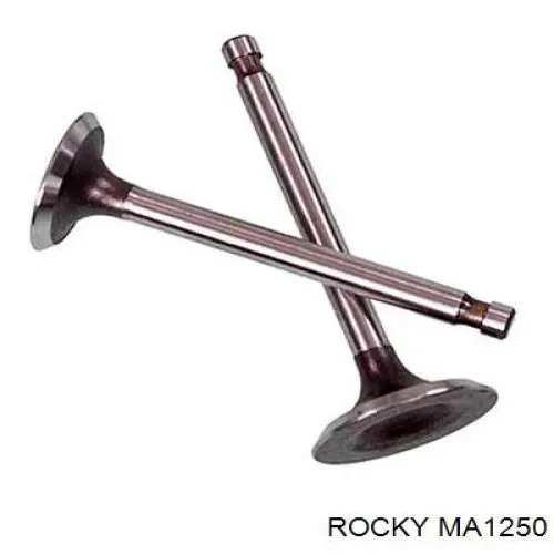 MA1250 Rocky Válvula de admissão