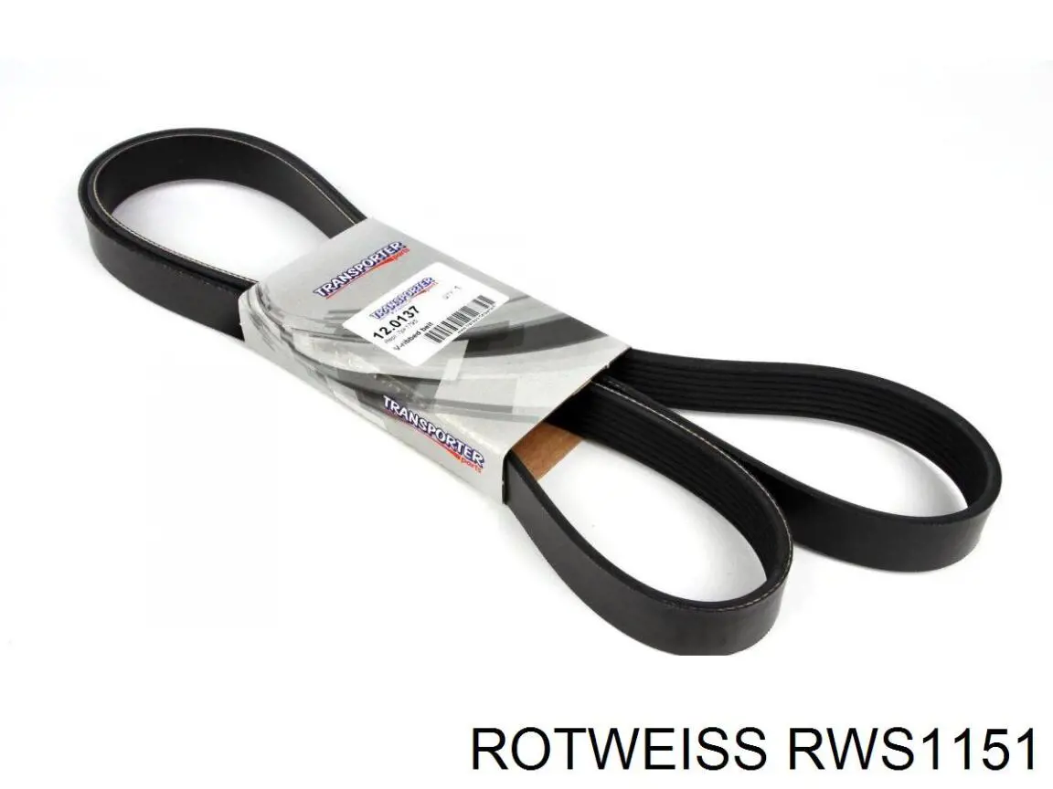 Compre RWS1151 Rotweiss Protetor de lama traseiro direito