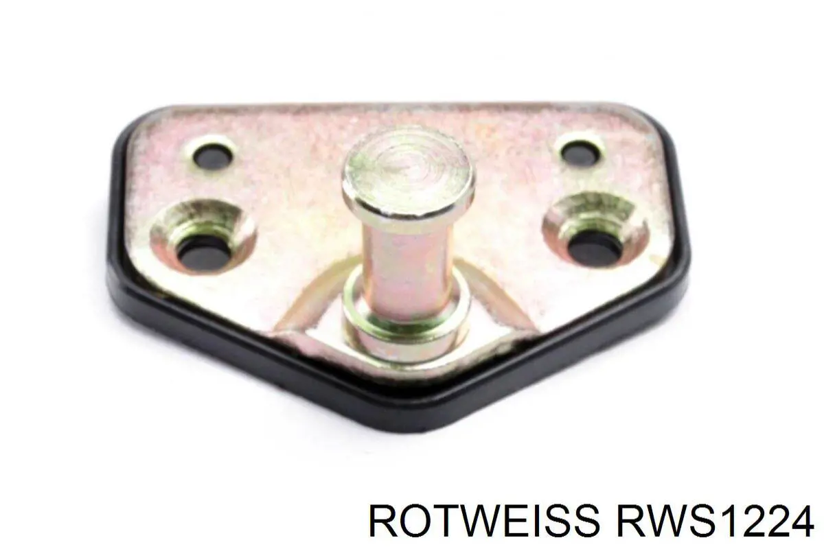Gozno de garra (parte complementar) de fecho da porta deslizante RWS1224 Rotweiss