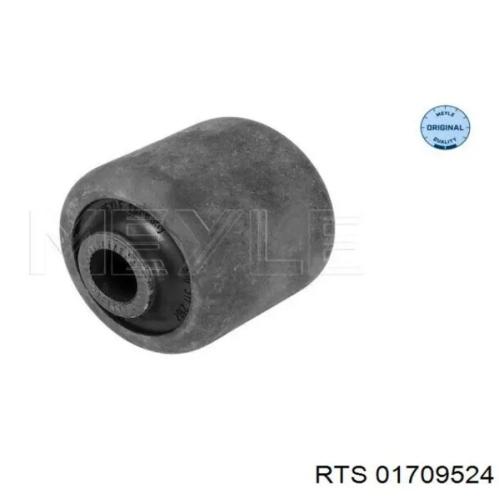 Compre 01709524 RTS Bloco silencioso dianteiro do braço oscilante inferior
