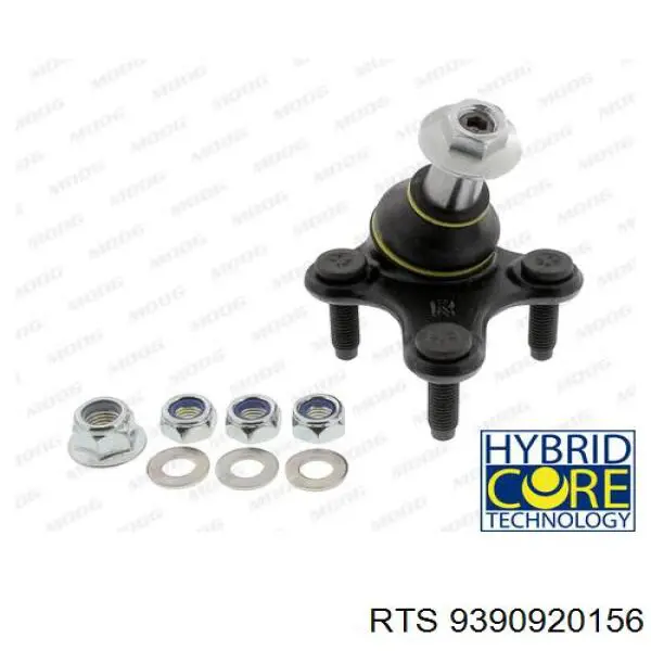 Compre 9390920156 RTS Suporte de esfera inferior direito