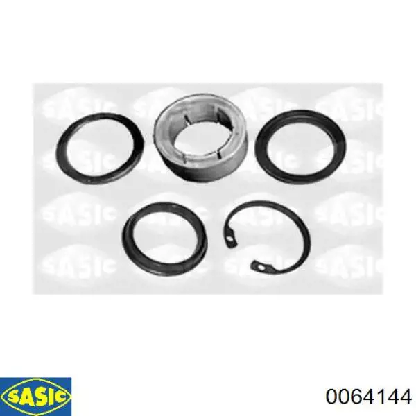Compre 0064144 Sasic Kit de reparação da cremalheira da direção (do mecanismo), (kit de vedantes)