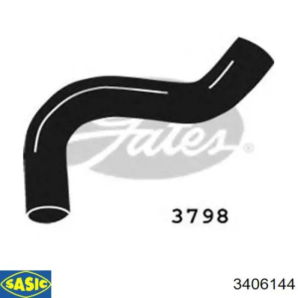 Compre 3406144 Sasic Mangueira inferior do tanque de expansão