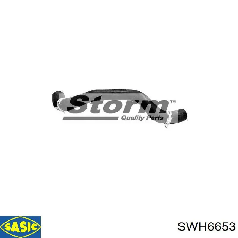Compre SWH6653 Sasic Mangueira (cano derivado) inferior do radiador de esfriamento