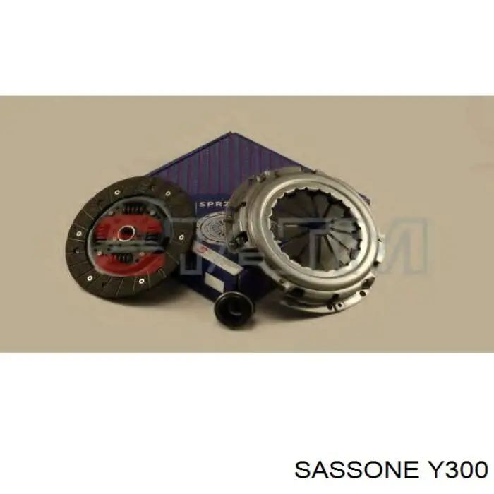 Y300 Sassone 