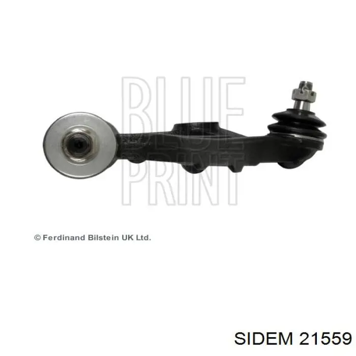  Solgy 204155