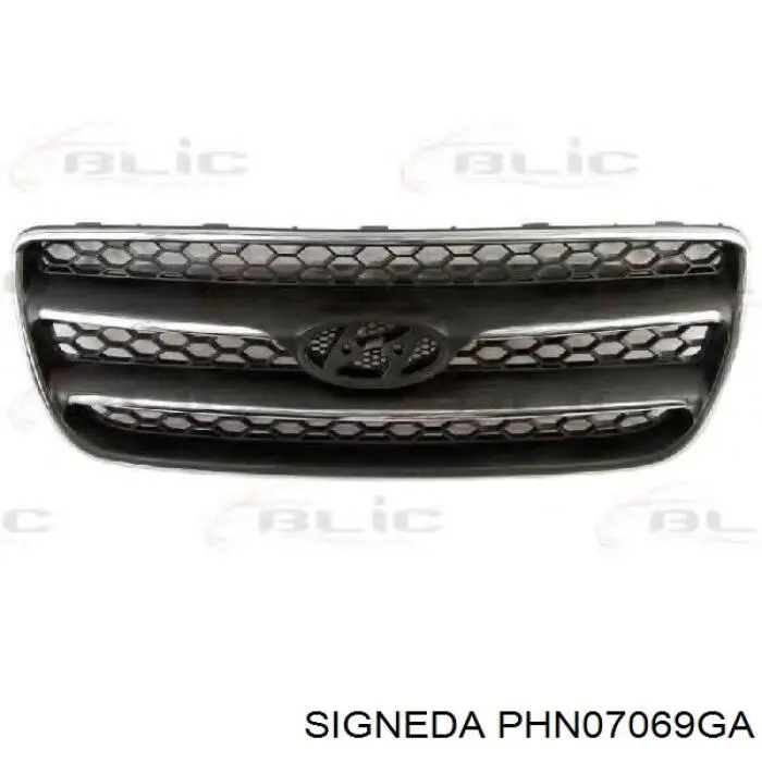 Grelha do radiador para Hyundai Santa Fe III DM