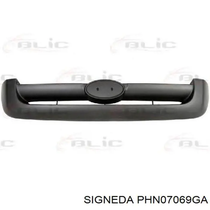 Grelha do radiador Hyundai Santa Fe III DM