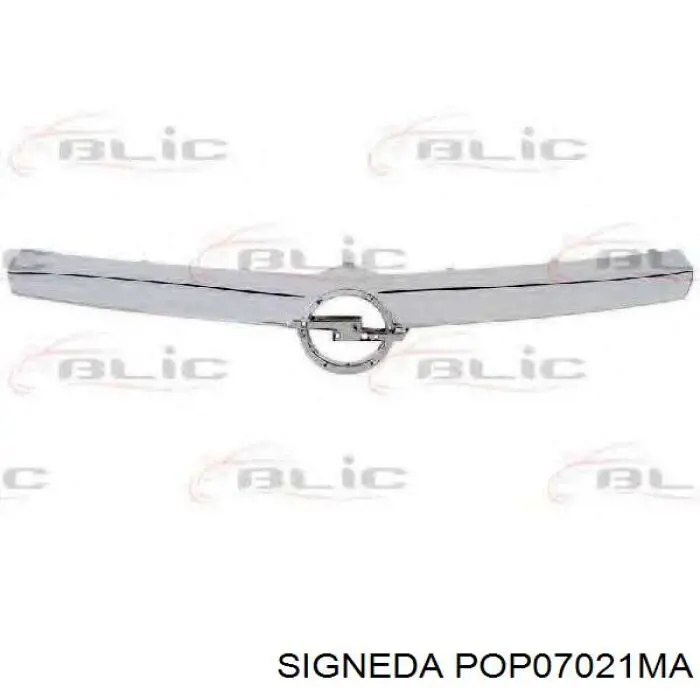 Compre FP5206991 FPS Grelha do radiador