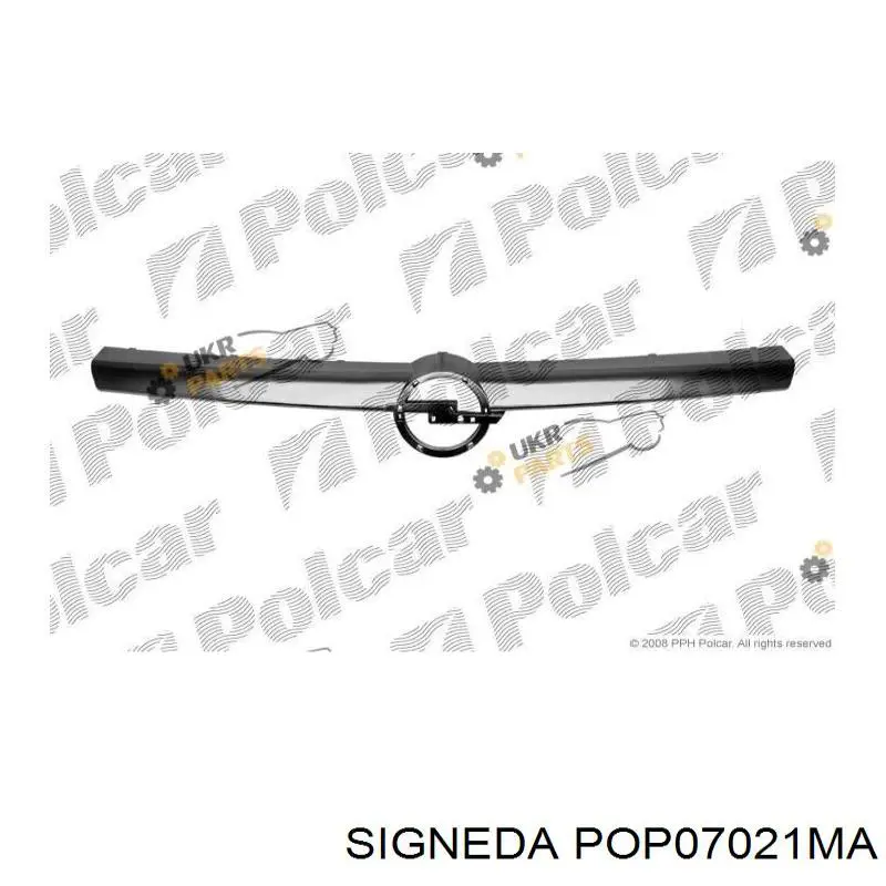 Grelha do radiador FP5206991 FPS