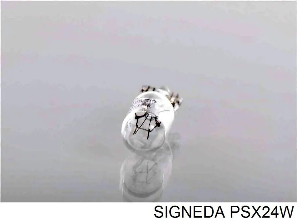  Signeda PSX24W