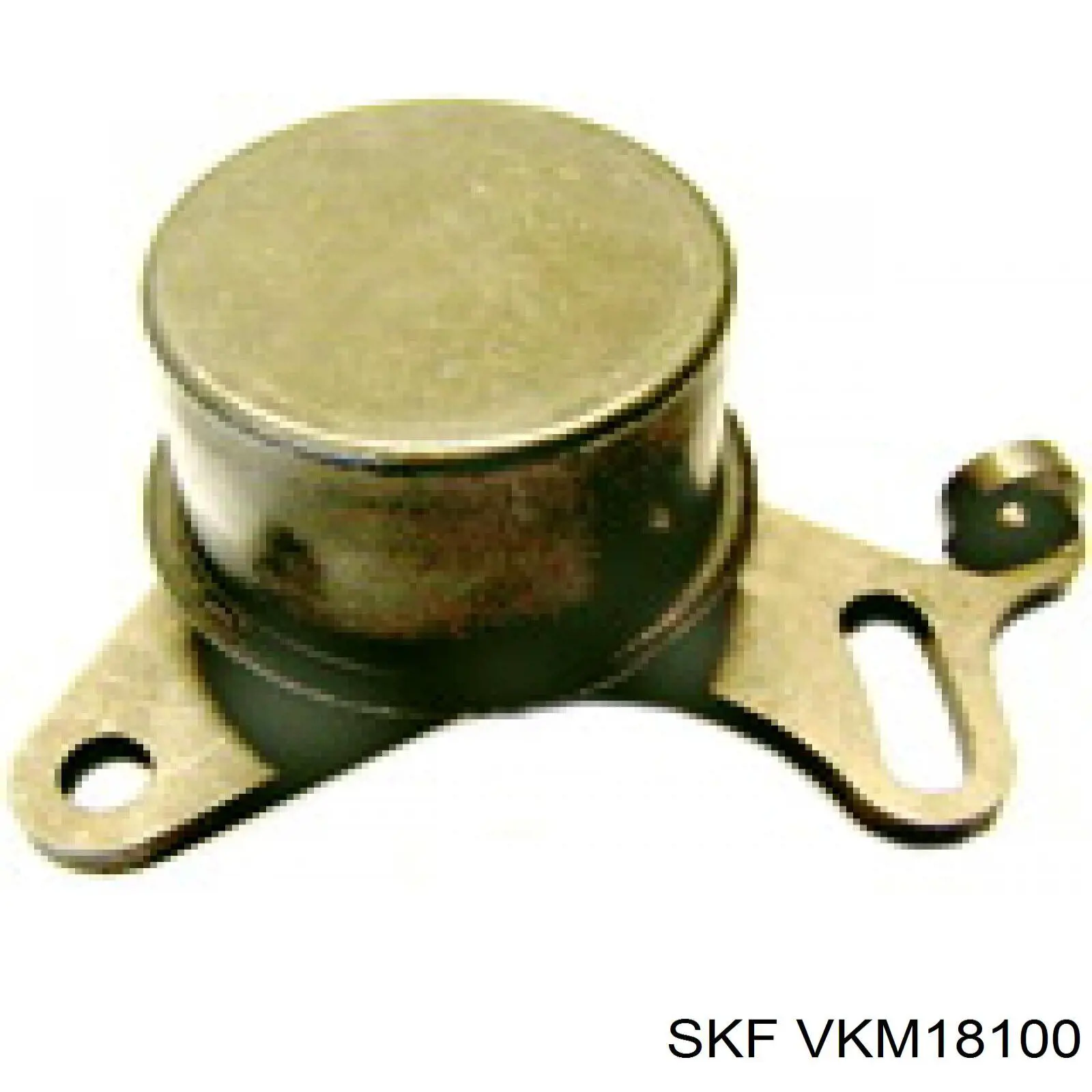 Compre VKM18100 SKF Rolo de reguladora de tensão da correia do mecanismo de distribuição de gás