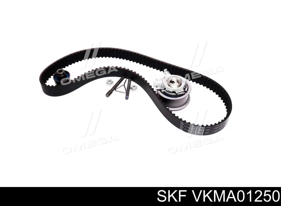 Compre VKMA01250 SKF Correia do mecanismo de distribuição de gás, kit